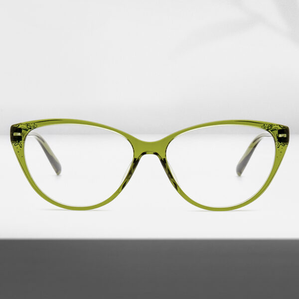 Eyewear tr90 Optical Frames with spring henge Temples Print Unisex Classic Design Low MOQ