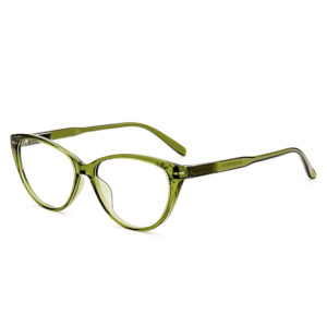 Eyewear tr90 Optical Frames with spring henge Temples Print Unisex Classic Design Low MOQ