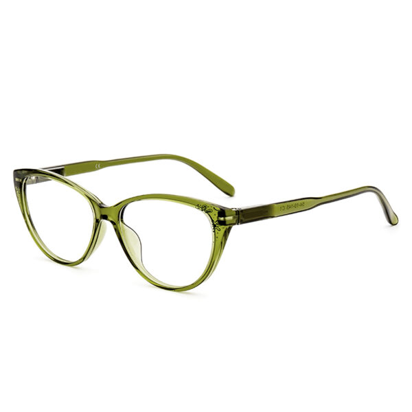 Eyewear tr90 Optical Frames with spring henge Temples Print Unisex Classic Design Low MOQ